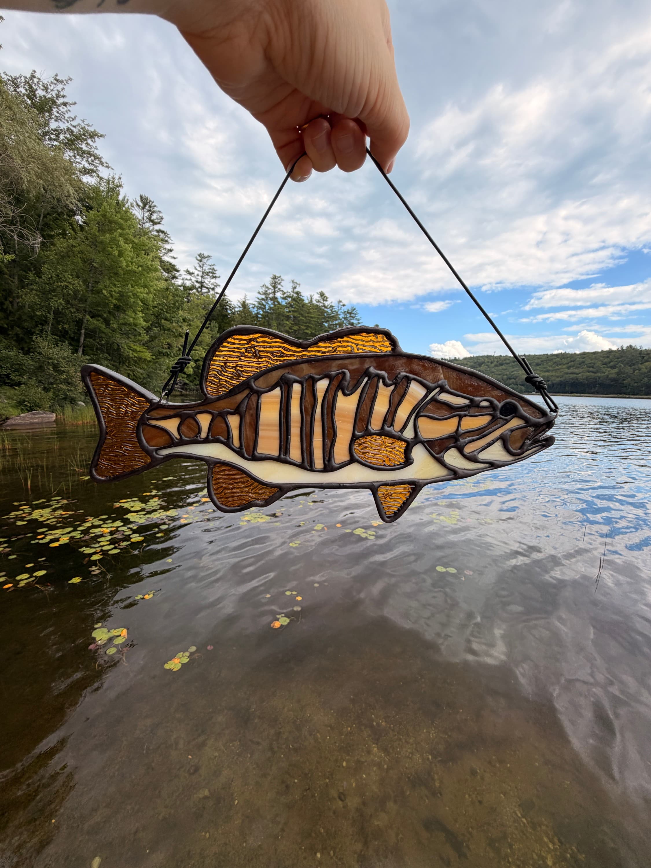 Fish - Smallmouth Bass artwork image