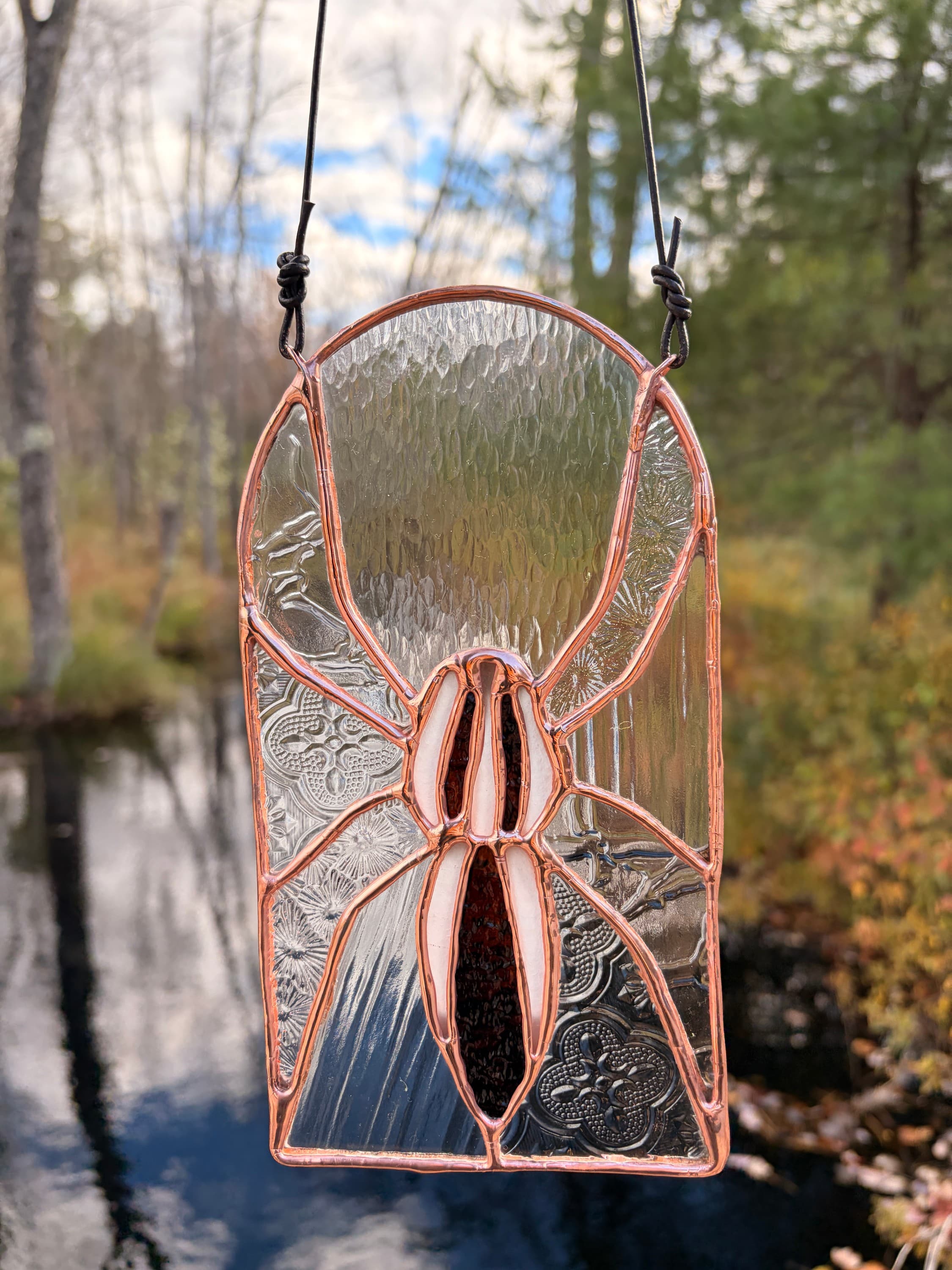 Bug Window - Wolf Spider artwork image